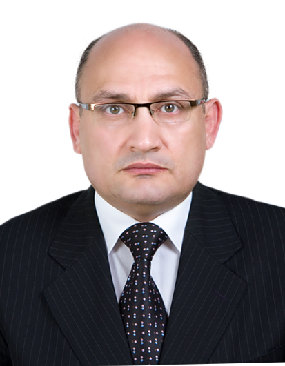 Akmal S. Abdelfatah